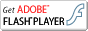 Flash&nbsp;Player