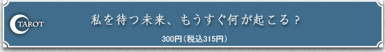 TAROT�@����҂����A�������������N����H