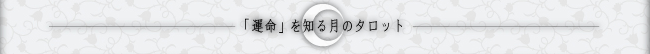 �u�^���v��m�錎�̃^���b�g