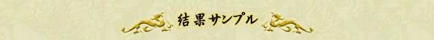 結果サンプル