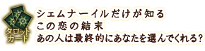 タロットカード
シェムナーイルだけが知るこの恋の結末 あの人は最終的にあなたを選んでくれる?