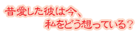�̈������ނ͍��A�����ǂ��v���Ă�?